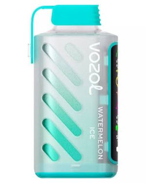 Vozol Gear Power 20000